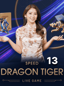 ตราก้อนไทเกอร์ สปัด 13